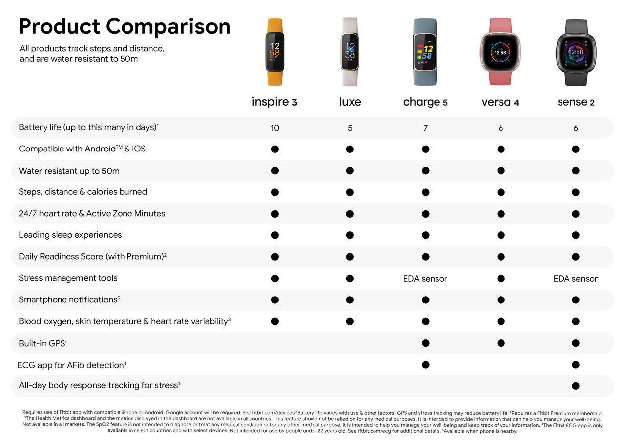 Fitbit It All Fits Together