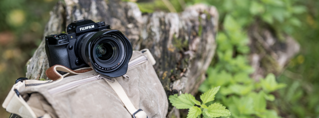 Fujifilm camera resting on a beige bag against a tree trunk with green leaves in the background
