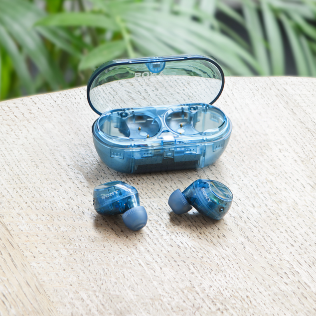 Wireless earbuds