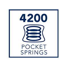 4200 POCKET SPRINGS
